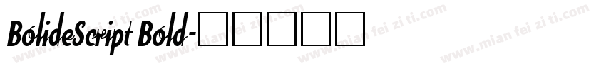 BolideScript Bold字体转换